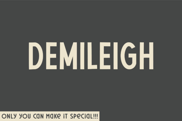 Demileigh: A Font That Elevates Small Business