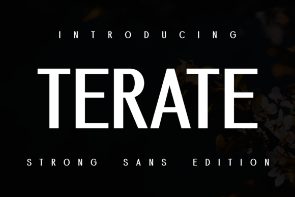 Demore Terate Font for Editorial Design